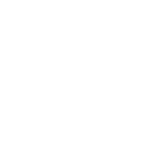 Talion Studio logo