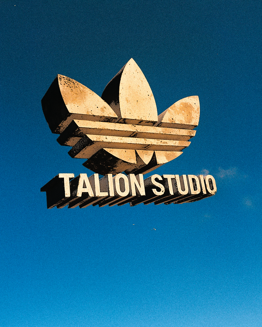 Adidas x Talion Studio